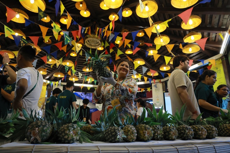 meghalaya pineapple festival
